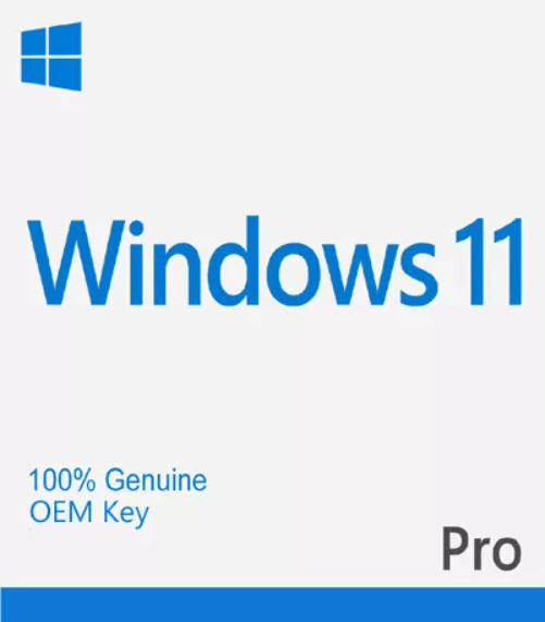 Windows 11 Pro License – OEM Key